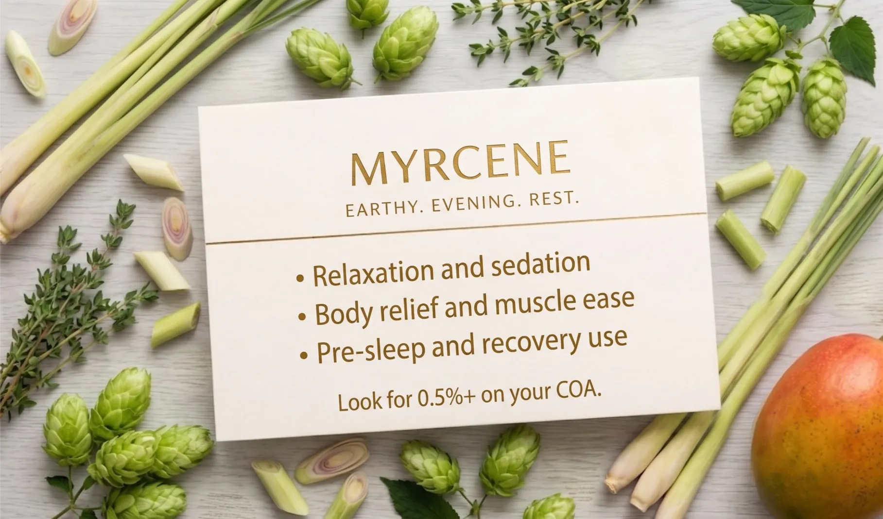 Myrcene terpene effects card showing relaxation, sedation, and body relief for evening cannabis use.