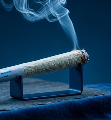 Pre-rolled cannabis joints